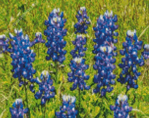 Bluebonnet Lupine Plant Diamond Painting