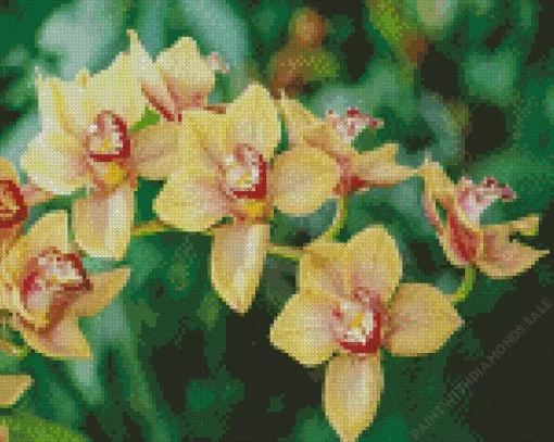 Boat Orchid Diamond Painting