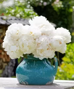 Bowl of Cream Peonies Diamond Painting