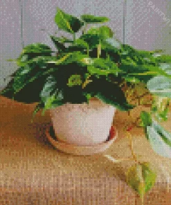 Brasil Philodendron Plant Diamond Painting