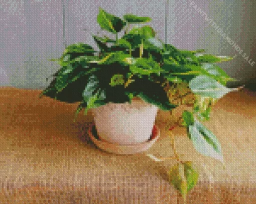 Brasil Philodendron Plant Diamond Painting