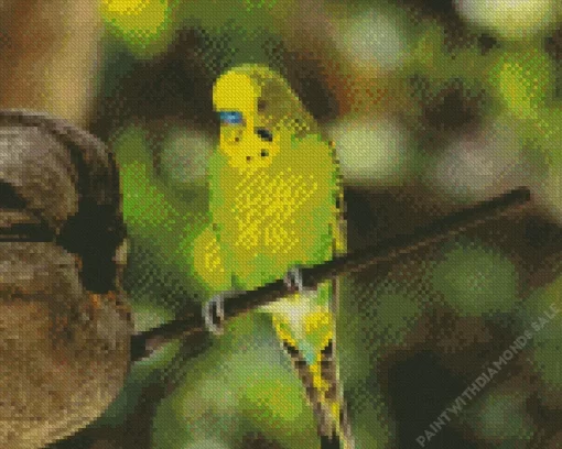 Budgie Bird Diamond Painting