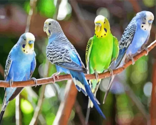 Budgie Birds Diamond Painting