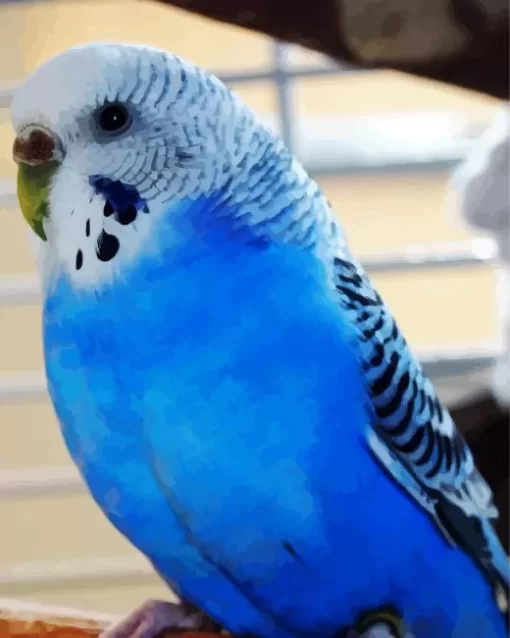 Budgie Blue Bird Diamond Painting