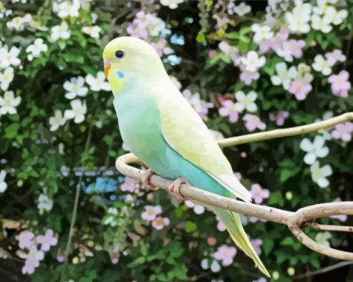 Budgie With Flowers Diamond Painting