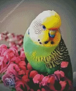 Budgie With Pink Flowers Diamond Painting