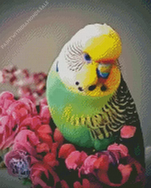 Budgie With Pink Flowers Diamond Painting