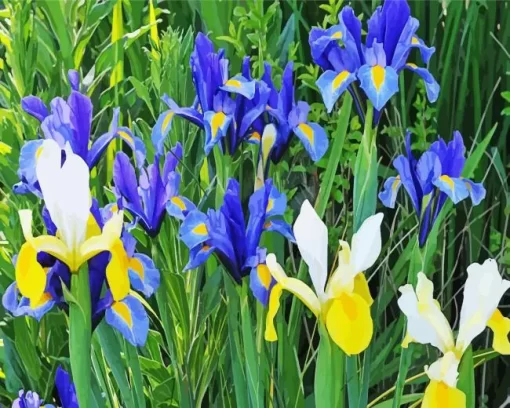 Bulbous Irises Diamond Painting