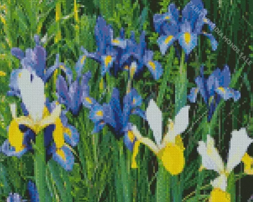 Bulbous Irises Diamond Painting