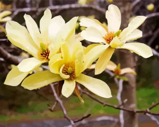 Butterfly Magnolia Close Up Diamond Painting