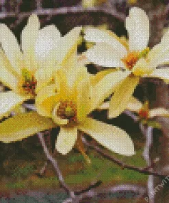 Butterfly Magnolia Close Up Diamond Painting