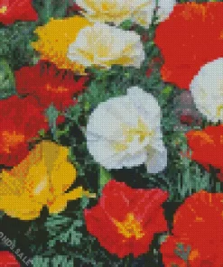 California Poppies Diamond Painting