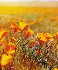 California Poppy Field Diamond Painting