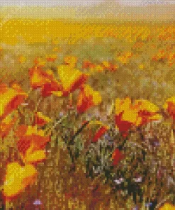 California Poppy Field Diamond Painting