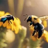 Carpenter Bee And Bumble Bee Diamond Painting