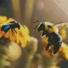 Carpenter Bee And Bumble Bee Diamond Painting