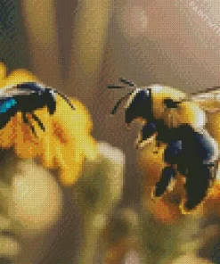 Carpenter Bee And Bumble Bee Diamond Painting