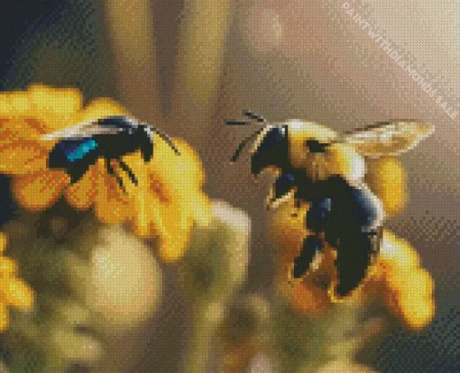 Carpenter Bee And Bumble Bee Diamond Painting