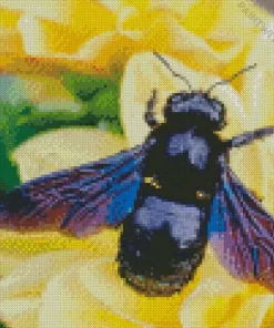 Carpenter Bees Diamond Painting