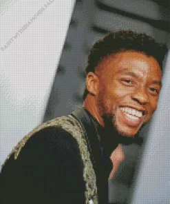 Chadwick Boseman Black Panther Diamond Painting