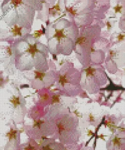 Cherry Blossoms Close Up Diamond Painting