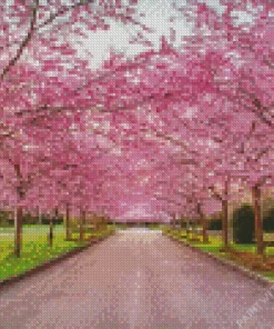 Cherry Blossoms Season Diamond Painting