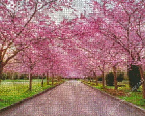 Cherry Blossoms Season Diamond Painting