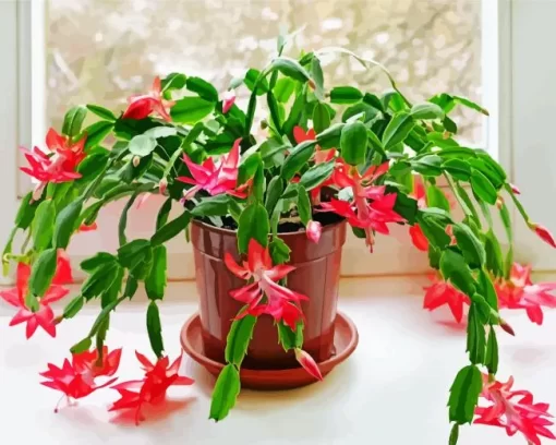 Christmas Cactus Diamond Painting