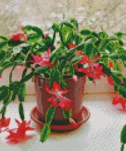 Christmas Cactus Diamond Painting