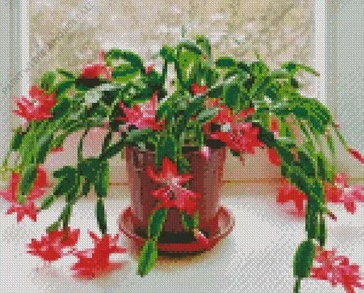 Christmas Cactus Diamond Painting