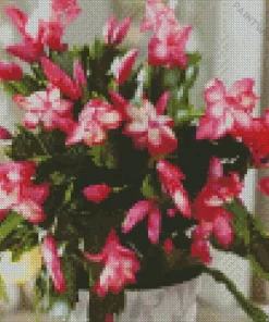 Christmas Cactus Plant Diamond Painting