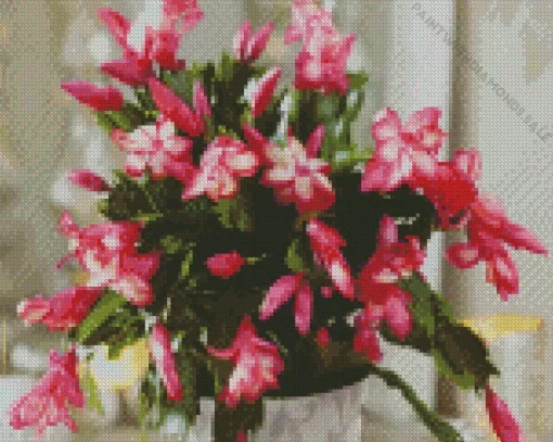 Christmas Cactus Plant Diamond Painting