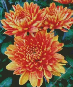 Chrysanthemum Flowers Diamond Painting