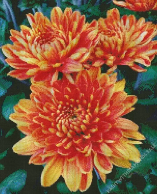 Chrysanthemum Flowers Diamond Painting