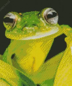 Close Up Frog Diamond Painting