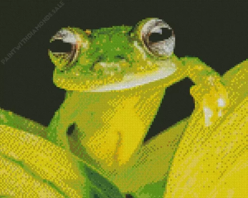 Close Up Frog Diamond Painting