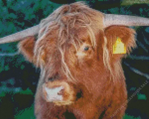 Close Up Highland Cow Diamond Painting