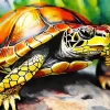 Close Up Turtle Diamond Painting