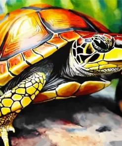 Close Up Turtle Diamond Painting