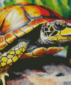 Close Up Turtle Diamond Painting