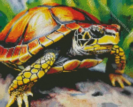 Close Up Turtle Diamond Painting