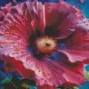 Close Up Pink Hollyhock Diamond Painting