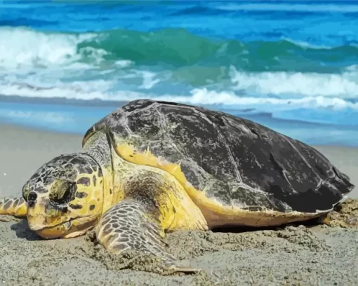 Close Up Sea Turtle Diamond Painting