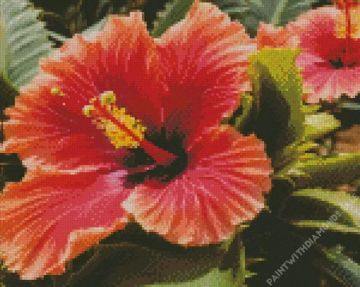 Close Up Hollyhock Diamond Painting