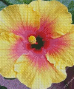 Clown Hibiscus Flower Diamond Painting