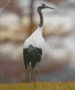 Common Crane Diamond Painting