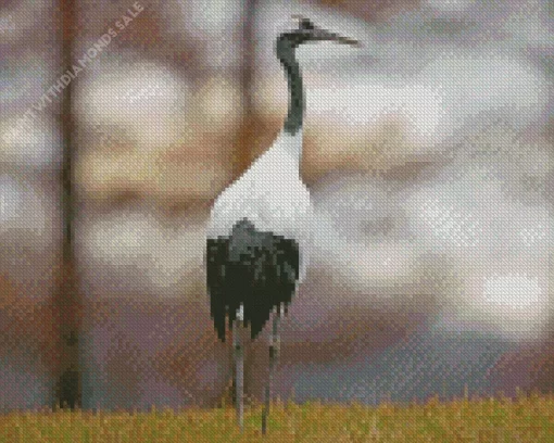 Common Crane Diamond Painting