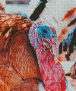 Common Turkey Diamond Painting