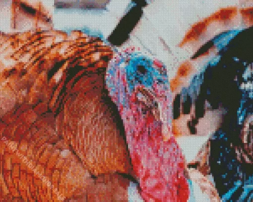 Common Turkey Diamond Painting