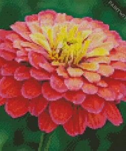 Common Zinnia Diamond Painting